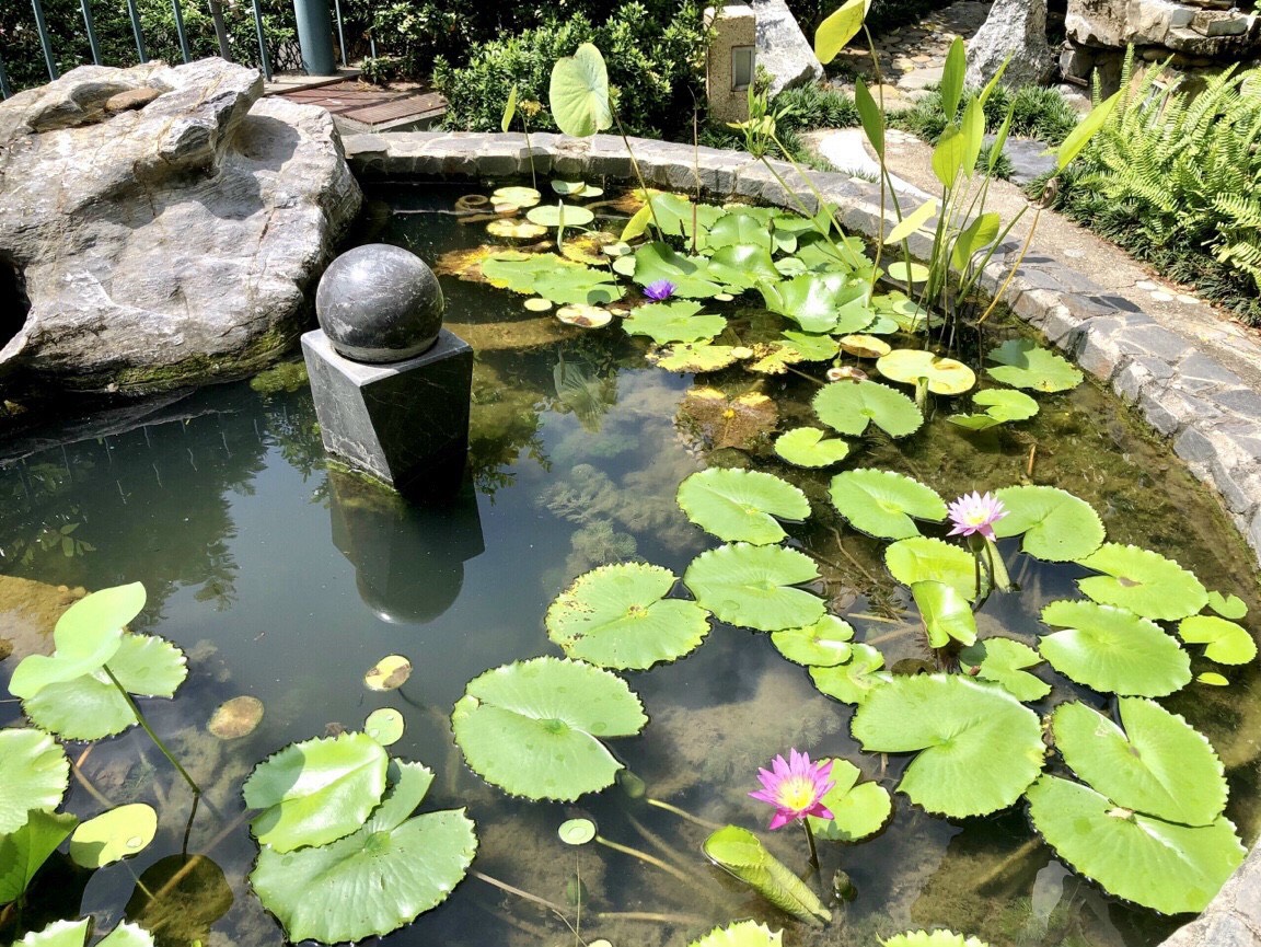 Cho thuê biệt thự Phú Mỹ Hưng có hồ bơi nhà đẹp